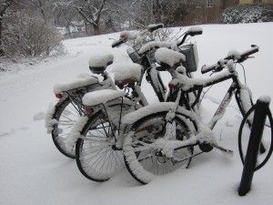 IMG_1775